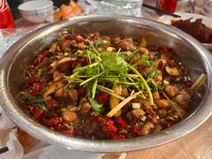 -食神又名厕所兔