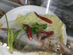 -全乐鱼馆·淳牌有机鱼直营店