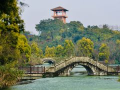 -张坝桂圆林公园