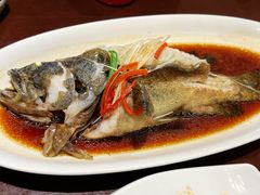 石斑鱼-走马楼饭庄(慈城古县城店)