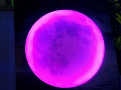 -天津梵高星空艺术馆(天河城旗舰店)
