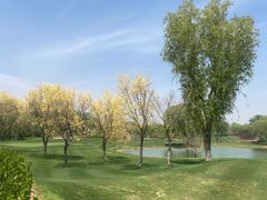 -北京京辉高尔夫俱乐部有限公司