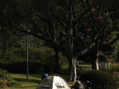 -东莞植物园