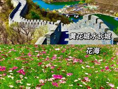 -桔子文创·企业团建·活动策划·拓展会议