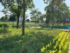 -歌斐颂巧克力小镇