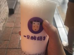 -一只酸奶牛(八一路店)