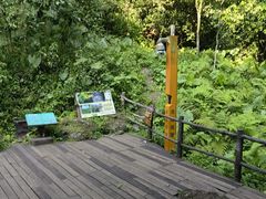 -海口火山口国家地质公园