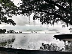 -大埔公路-马料水段香港中文大学(公交站)