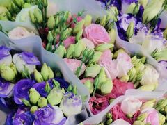 -溪岸路花鸟市场