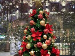 -淮国旧H22·中古店