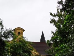 -张坝桂圆林公园