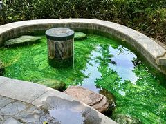-英德宝晶宫天鹅湖茶语温泉