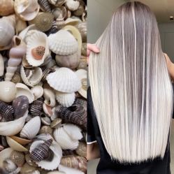 -SEBASTIAN塞巴斯汀