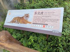 -武汉动物园
