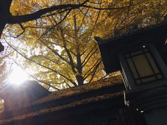 -大雁塔北广场音乐喷泉