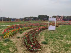 -苏州太湖西山岛开心农场