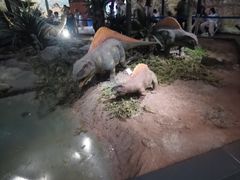 -湖南省地质博物馆