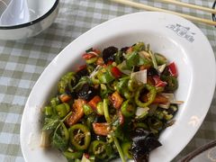 -京北渔家傲