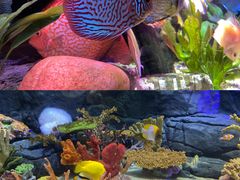 -上海海洋水族馆