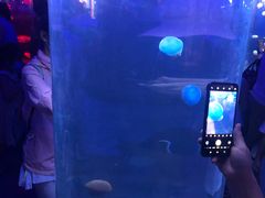 -五缘湾悦都汇购物中心
