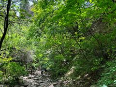 -龙洞风景区-藏龙涧