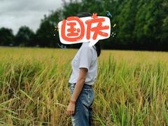 -桤木河湿地公园