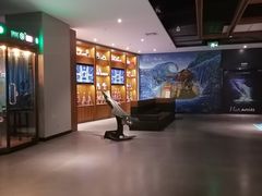 -万达影城IMAX(海口日月广场店)