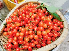 -樱桃山旅游景区