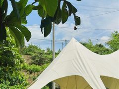 -桃源山庄·水蜜桃采摘·柴火鸡·烧烤团建(龙泉山店)