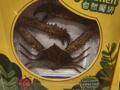 -石家庄万象城