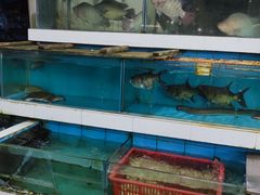 -珠海叠泉山庄
