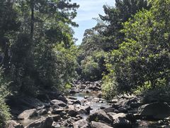 -广州白江湖森林公园