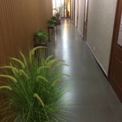点击看大图 -翎兰瑜伽·普拉提
