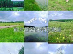 -塞罕坝国家级自然保护区