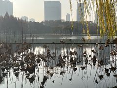 -尚贤河湿地