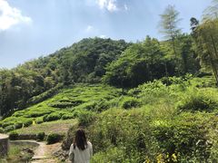 -会稽山峡洞漂流-上青古道