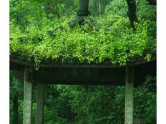 -虎跑公园