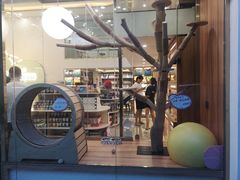 -钦宠·猫咪售卖·洗护·寄养(东圃旗舰店)