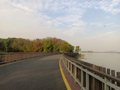 -东湖落雁景区