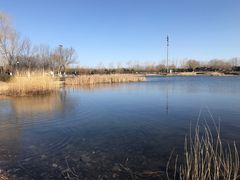 -永定河休闲森林公园