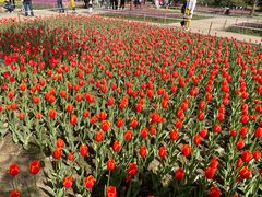 -长春公园(普阳街道)