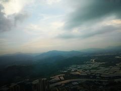 -瑞吉酒店·The Drawing Room闲逸廊·云端下午茶·夜奢Whiskey