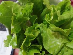 -壮雄牛屠牛肉店(两英店)