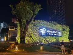 -三亚湾红树林度假世界(木棉酒店)