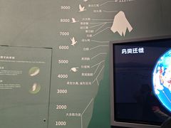 -中国湿地博物馆