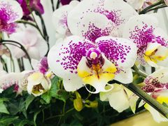 -福州长乐国际机场