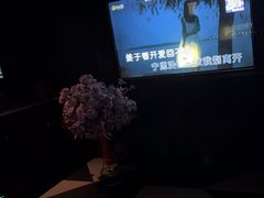 -黑桃K生日订制KTV