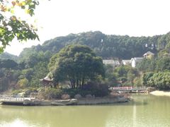 -广州市帽峰山景区