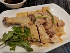 三黄鸡-全启和美食(由由店)