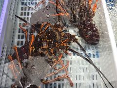-盒马鲜生(大成店)